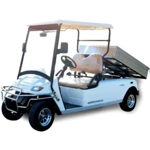 Moto EV 2 Passenger Utility Deluxe Street Legal Golf Cart
