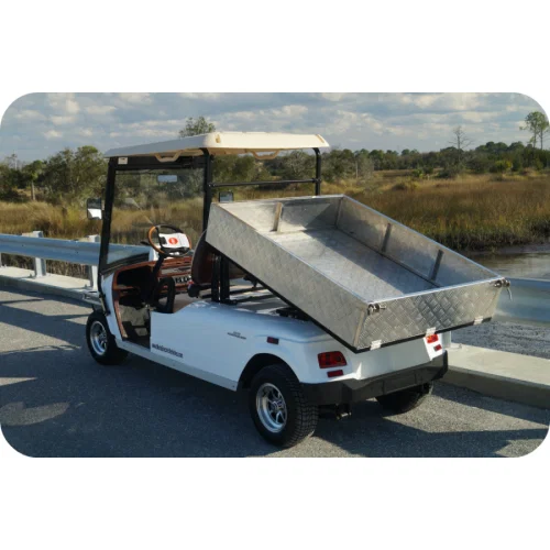 MotoEV 2 Passenger Utility Deluxe Street Legal Golf Cart - Image 2