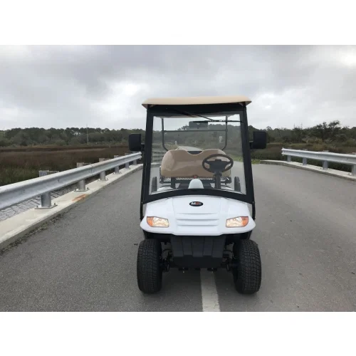 MotoEV Electro Neighborhood Buddy 2 Passenger Utility Street Legal Golf Cart - Image 3