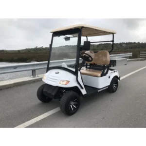 MotoEV Electro Neighborhood Buddy 2 Passenger Utility Street Legal Golf Cart