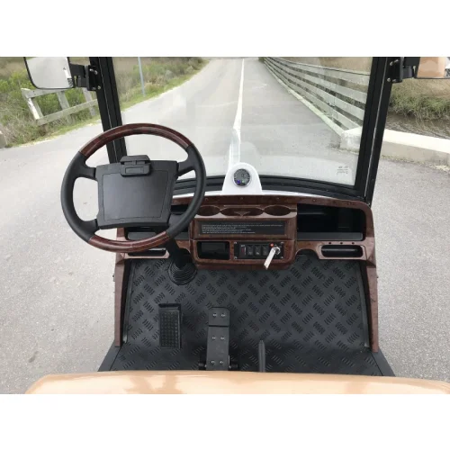 MotoEV Electro Neighborhood Buddy 2 Passenger Utility Street Legal Golf Cart - Image 2